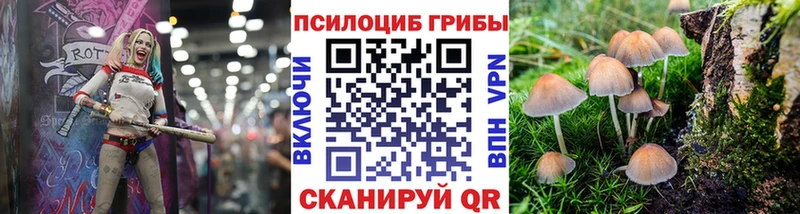 где можно купить   Спасск-Дальний  даркнет формула  Псилоцибиновые грибы мицелий 